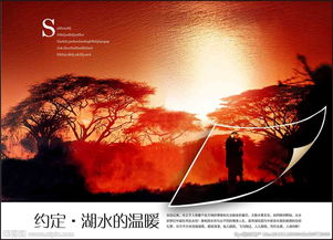 地產(chǎn)廣告設(shè)計 視覺驅(qū)動價值的藝術(shù)與實踐