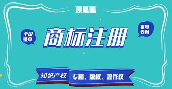 頂峰知產(chǎn) 以高成功率賦能企業(yè)商標(biāo)與知識產(chǎn)權(quán)保護(hù)